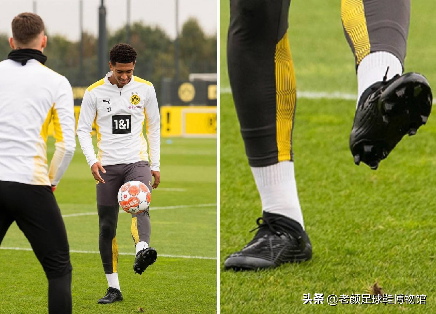 有走到巅峰 有走到巅峰