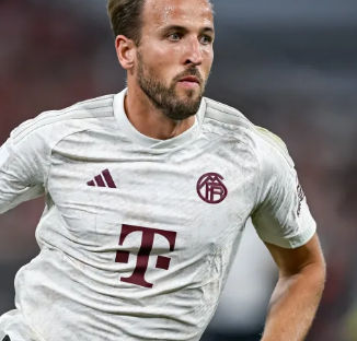 器人吉祥物 器人吉祥物