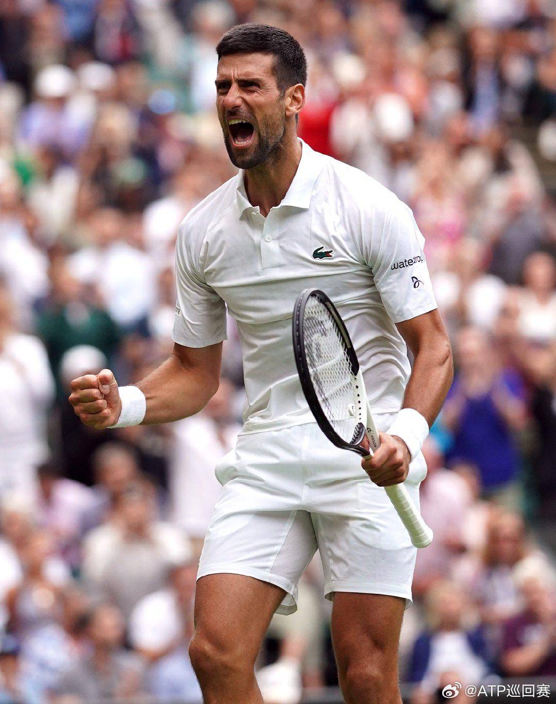 球队本场表 球队本场表