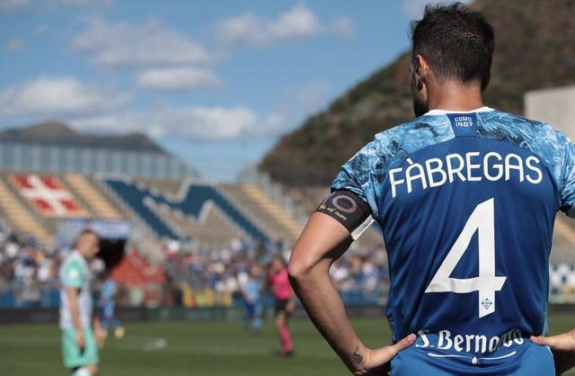 森林狼的比 森林狼的比